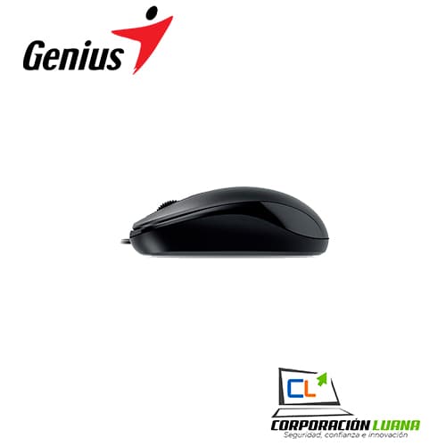 Imagen de MOUSE GENIUS DX-110 ( 31010116100 )                                                                                                                   