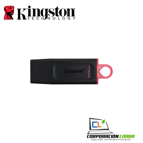 Imagen de MEMORIA USB KINGSTON DATATRAVELER EXODIA 256GB ( DTX/256GB ) NEGRO/GUINDA | USB 3.2