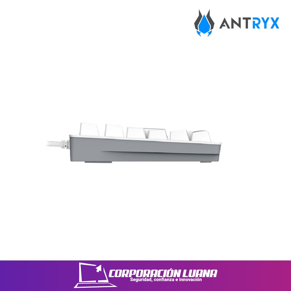 Imagen de TECLADO MECANICO ANTRYX ML860L BLANCO | GRIS ( AMK-CS860LWGPU ) SWITCH PURPURA