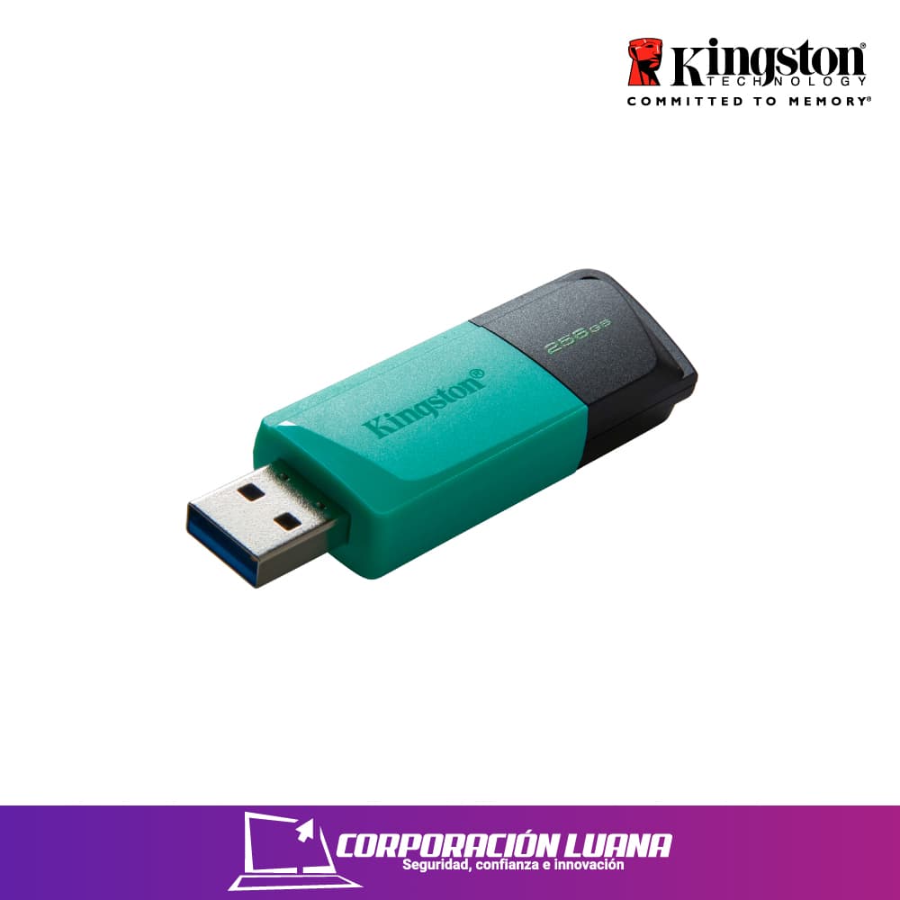 Foto del producto MEMORIA USB KINGSTON DATATRAVELER EXODIA M 256GB ( DTXM/256GB ) AZUL | USB 3.2 GEN 1